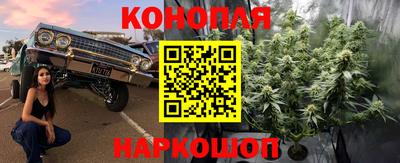 шишки Пыть-Ях