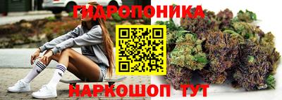шишки Пыть-Ях