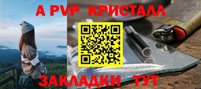шишки Пыть-Ях