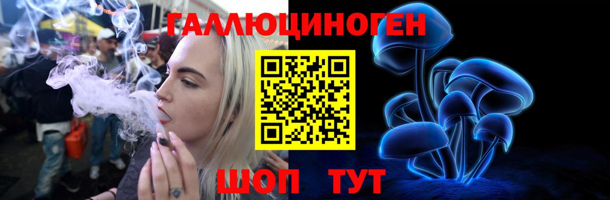 купить  сайты  Псилоцибиновые грибы GOLDEN TEACHER  Вход с VPN  Сызрань 